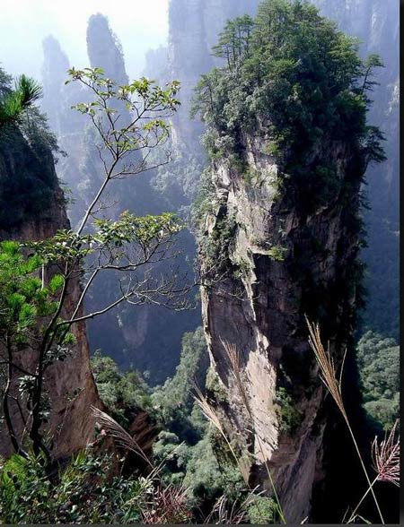 長沙出發(fā)到張家界溶洞奇觀黃龍洞、國家森林公園、袁家界、峰林之王天子山三日游（早班）